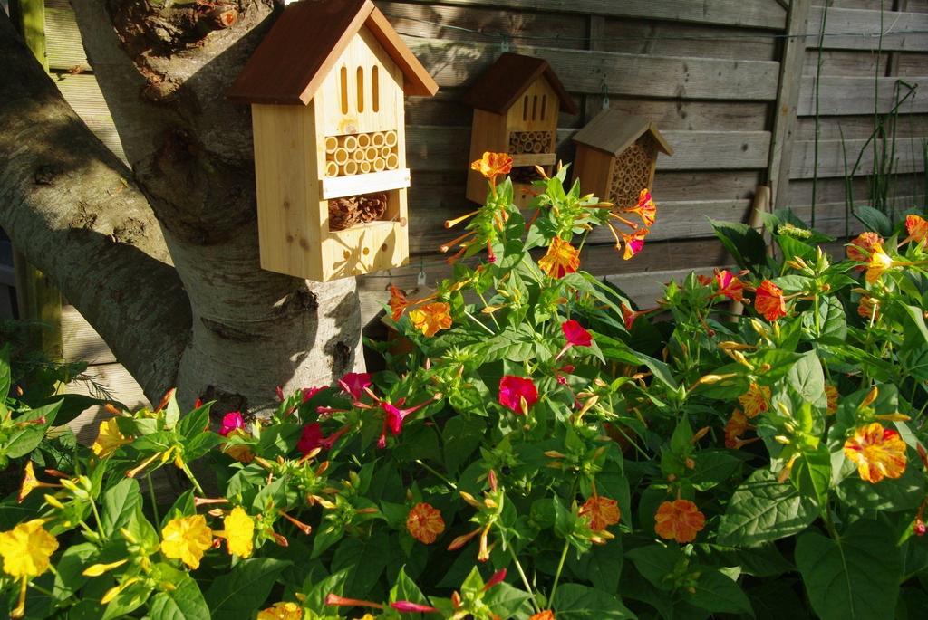 O'Maxethel Bed & Breakfast Soullans Екстериор снимка